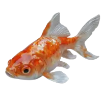 اسماك زينة وأحياء مائية للبيع في المملكة المتحدة