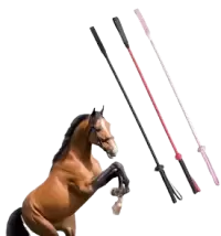 ترويض و تدريب فى المملكة المتحدة