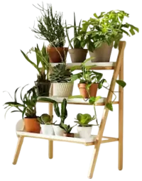 مشتل نباتات فى المملكة المتحدة