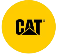 كات فى المملكة المتحدة